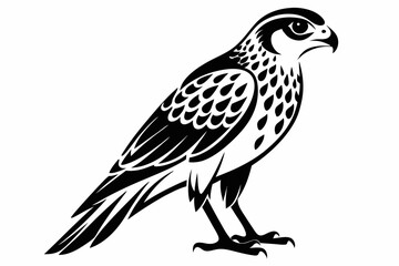 kestrel silhouette line art vector illustration with a white background