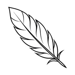 Obraz premium feather accent decoration line art vector
