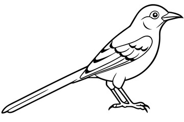 mockingbird silhouette line art vector illustration with a white background