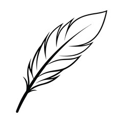 Obraz premium feather accent decoration line art vector