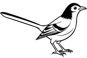 mockingbird silhouette line art vector illustration with a white background