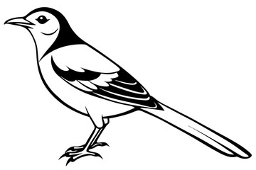 mockingbird silhouette line art vector illustration with a white background