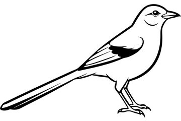 mockingbird silhouette line art vector illustration with a white background