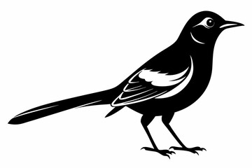 mockingbird silhouette line art vector illustration with a white background