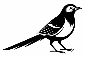 mockingbird silhouette line art vector illustration with a white background