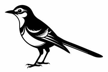 mockingbird silhouette line art vector illustration with a white background