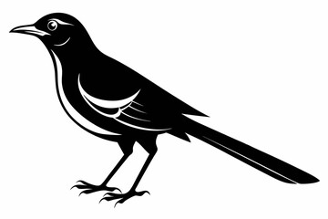 mockingbird silhouette line art vector illustration with a white background