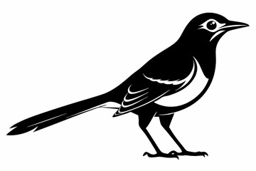 mockingbird silhouette line art vector illustration with a white background