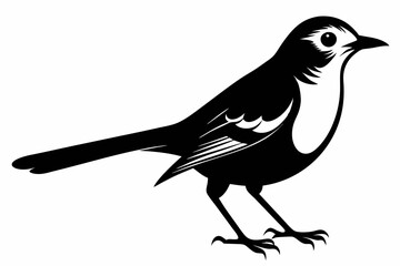 mockingbird silhouette line art vector illustration with a white background