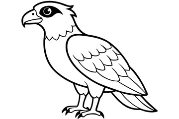 osprey silhouette line art vector illustration with a white background