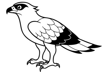 osprey silhouette line art vector illustration with a white background