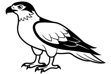 Fototapeta premium osprey silhouette line art vector illustration with a white background