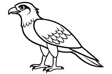 osprey silhouette line art vector illustration with a white background