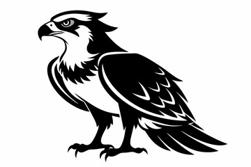 osprey silhouette line art vector illustration with a white background