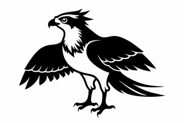 Fototapeta premium osprey silhouette line art vector illustration with a white background