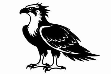osprey silhouette line art vector illustration with a white background