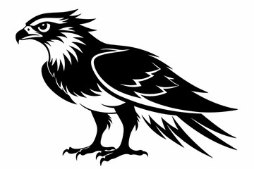 osprey silhouette line art vector illustration with a white background