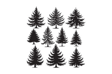 Obraz premium Silhouette Pine Tree Vector Set Evergreen Clipart Collection