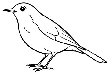 robin silhouette line art vector illustration with a white background