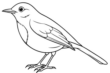 robin silhouette line art vector illustration with a white background