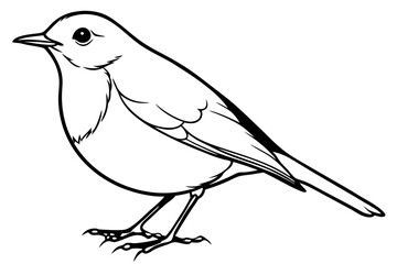robin silhouette line art vector illustration with a white background