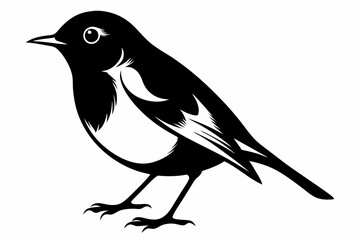 robin silhouette line art vector illustration with a white background