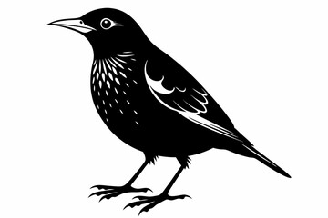 starling silhouette line art vector illustration with a white background