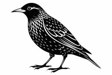 starling silhouette line art vector illustration with a white background