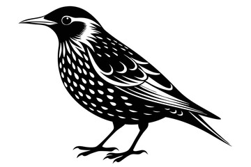 starling silhouette line art vector illustration with a white background