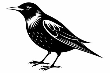 starling silhouette line art vector illustration with a white background