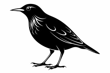 starling silhouette line art vector illustration with a white background