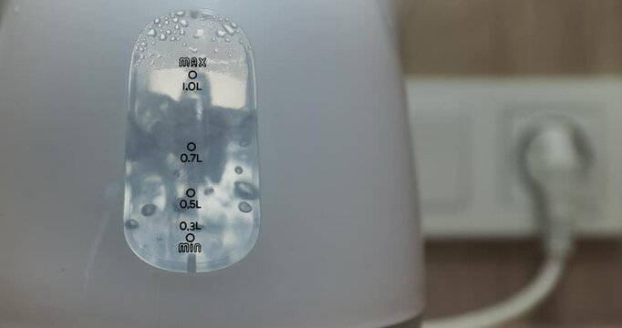 Electric kettle water boiling for tea