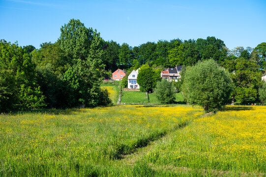 Colorful Zennebeemden landscape, a natural fluid zone of the river Senne in Huizingen, Flemish Brabant, Belgium