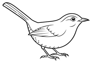 wren silhouette line art vector illustration with a white background