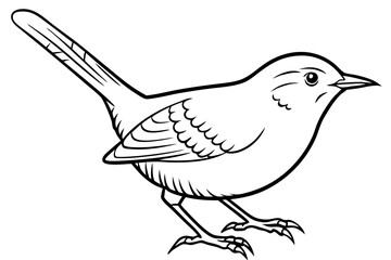 wren silhouette line art vector illustration with a white background