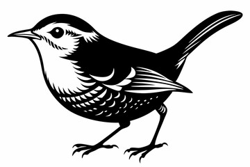 wren silhouette line art vector illustration with a white background