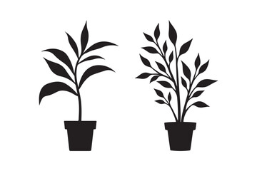 Silhouette of Indoor Potted Plants Vector Illustration