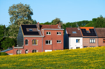 Houses in a row and buttercup flowers blooming in green meadow in Lot, Flemish Brabant Region,...
