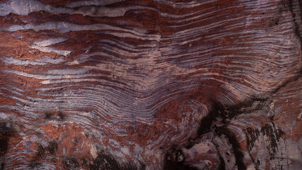 The surface of Mars is characterized by many geological features,it consists mainly of basalt rocks...