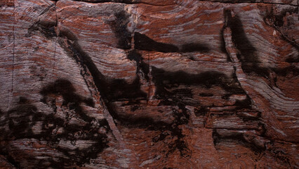 The surface of Mars is characterized by many geological features,it consists mainly of basalt rocks...