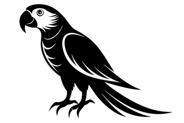 macaw silhouette line art vector illustration with a white background