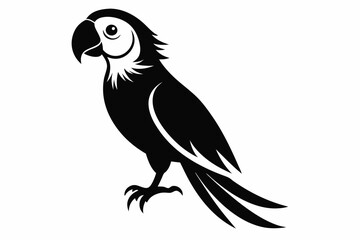 macaw silhouette line art vector illustration with a white background
