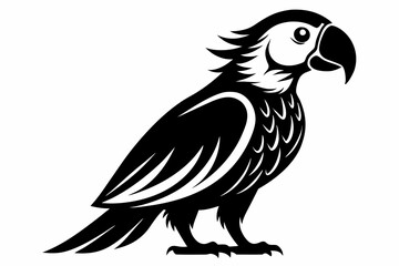 macaw silhouette line art vector illustration with a white background