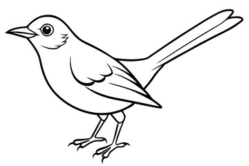 nightingale silhouette line art vector illustration with a white background