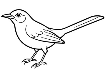 nightingale silhouette line art vector illustration with a white background