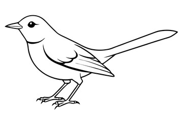 nightingale silhouette line art vector illustration with a white background