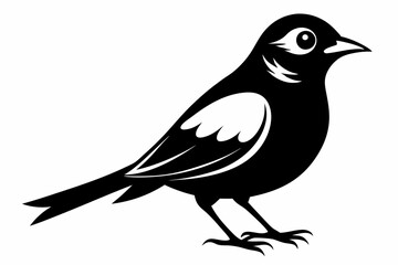 Obraz premium nightingale silhouette line art vector illustration with a white background