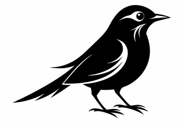 nightingale silhouette line art vector illustration with a white background