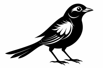 nightingale silhouette line art vector illustration with a white background