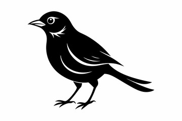 nightingale silhouette line art vector illustration with a white background